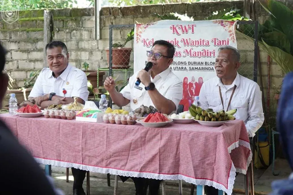 Ternak Ayam di Halaman Rumah, 8 Ibu di Samarinda Raup Rp500 Ribu Sebulan , Wawali Langsung Tinjau