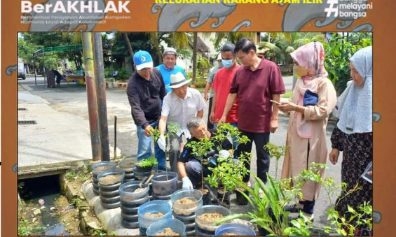 Sosialisasi Tanaman Toga