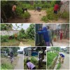 GOTONG ROYONG PROBEBAYA 2025 KELURAHAN LOA BUAH